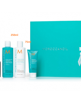 BỘ SẢN PHẨM PHỤC HỒI TÓC HƯ TỔN MOROCCANOIL 250ML