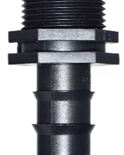  តំណមួលធ្មេញក្រៅ