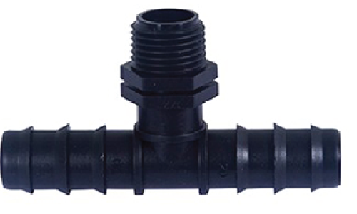 តំណតេធ្មេញក្រៅ