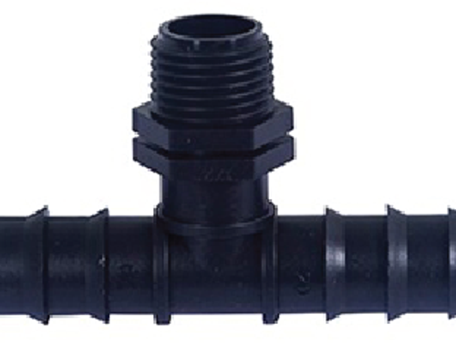 តំណតេធ្មេញក្រៅ