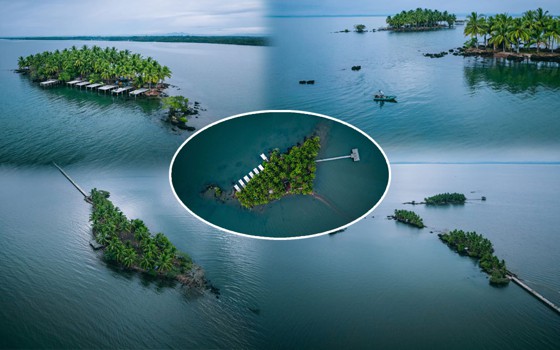 កោះខ្យង