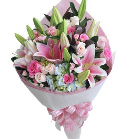 ផ្កាលីលី - ចម្រៀងស្នេហ៍