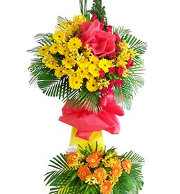 HOA ĐỒNG TIỀN - HƯNG THỊNH 4