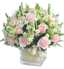 រ៉ូស - ការចាប់ផ្តើមនៃសុភមង្គល