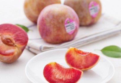 plum អាមេរិក