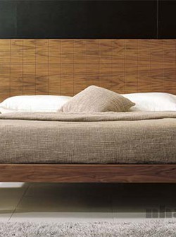 Giường ngủ người lớn số 5