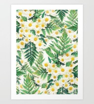 Dương Xỉ và Hoa Cúc