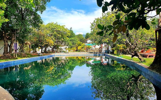 រីសត Bohemiaz ខេត្ត​កំពត