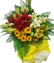 HOA LY - LUCKY FLOWERS 2