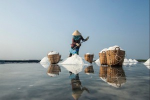 Sự Khó nhọc của nghề làm muối 