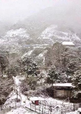 “Thiên đường tuyết trắng” ở Đà Lạt