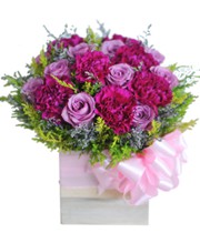 HOA CẨM CHƯỚNG - OUR STORY