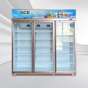 ទូក្លាស្សេ ទ្វារកញ្ចក់ LC-1008