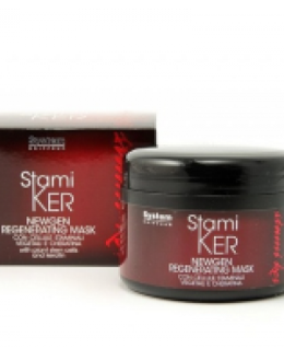 HẤP DẦU STAMIKER DIKSON PHỤC HỒI CẤU TRÚC TÓC 250Ml