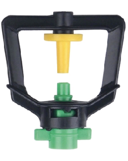 ក្បាលសាចទឹកតូច