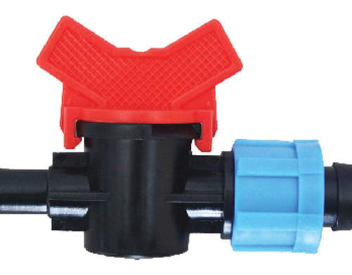  វ៉ានតូច