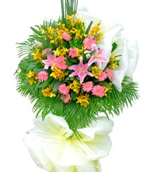 HOA ĐỒNG TIỀN - TƯƠI SÁNG 3