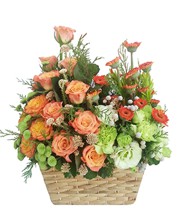 HOA ĐỒNG TIỀN - NHIỆT HUYẾT 2