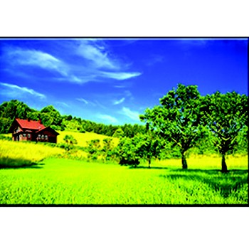 Tranh trang trí  07