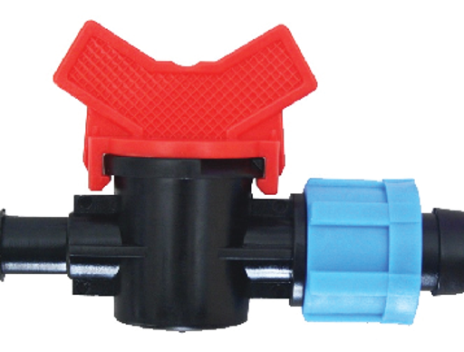  វ៉ានតូច