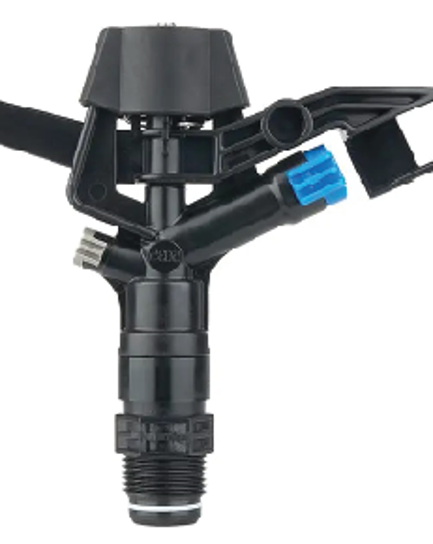  ក្បាលសាចស្រ្ពីងគ្ល័រ