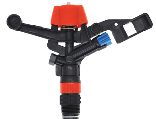 ក្បាលសាចស្រ្ពីងគ្ល័រ