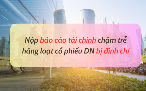 Nộp báo cáo tài chính chậm trễ- lý do khiến hàng loạt cổ phiếu bị đình chỉ 