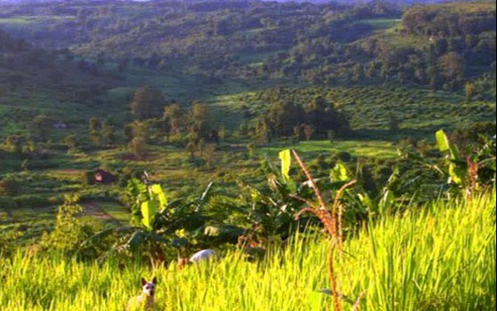 ទេសចរណ៏​ Phnom Svay នៅខេត្តបន្ទាយមានជ័យ