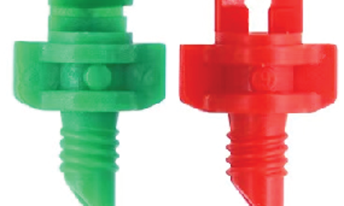  ក្បាលសាចទឹកតូច