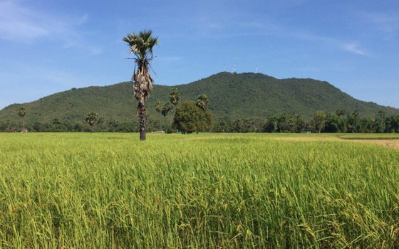 រមណីយដ្ឋានភ្នំក្រាំងដីមាស ខេត្តកំពង់ឆ្នាំង