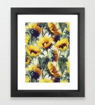 ស៊ុមរូបភាពផ្កាឈូករ័ត្ន