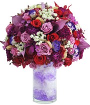 HOA CẨM CHƯỚNG - LOVE TO BE LOVED