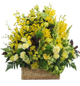 HOA CẨM CHƯỚNG - SUM VẦY