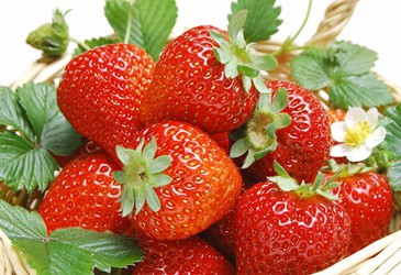 Nhận biết dâu tây Đà Lạt và Trung Quốc