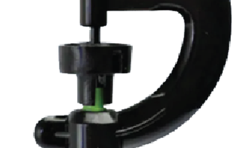 ក្បាលសាចទឹកតូច