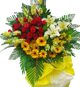 HOA LY - LUCKY FLOWERS 2