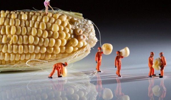 ការពិតអំពី 'អាហារទំនើប' ដែលប្រឆាំងនឹងជំងឺមហារីក