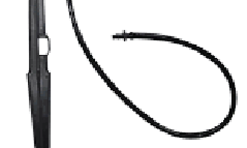 បង្គោលទ្រ