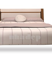 គ្រែមនុស្សពេញវ័យ