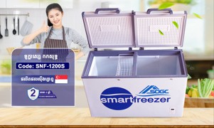 ទូក្លាស្សេឆ្លាតវៃ កកសុទ្ធ - SMARTFREEZER