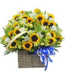 HOA LY - NẮNG HẠ