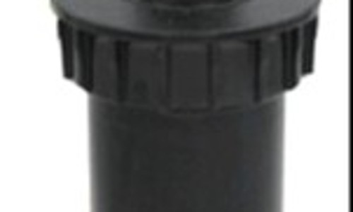 ក្បាលសាចស្រ្ពីងគ្ល័រ