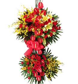 HOA LY - PHẤN KHỞI