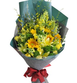 ផ្កាលីលី - ពន្លឺថ្ងៃពេញ