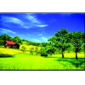 Tranh trang trí  07