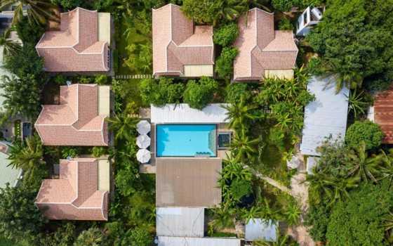 BANANA រីសត​ ខេត្តសៀមរាប