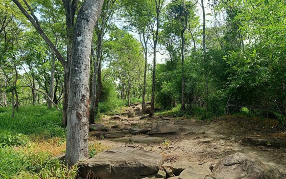 ប្រាសាទព្រះលាន ខេត្តព្រះវិហារ