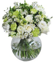 HOA HỒNG - NGÀY XANH