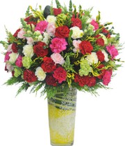 HOA CẨM CHƯỚNG - THÔNG REO