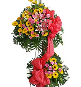 HOA LY - THÀNH CÔNG 1